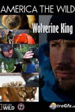 Watch National Geographic Wild America the Wild Wolverine King Putlocker