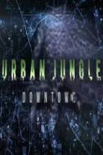 Watch National Geographic Wild Urban Jungle Downtown Putlocker