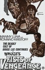 Watch Bruce\'s Fists of Vengeance Putlocker
