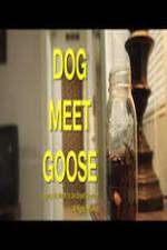 Watch Dog Meet Goose Putlocker