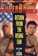 Watch WCW SuperBrawl I Putlocker