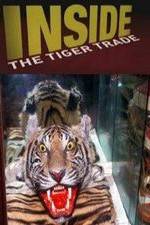 Watch Inside: The Tiger Trade Putlocker