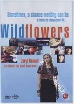 Wildflowers putlocker