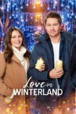 Watch Love in Winterland Putlocker