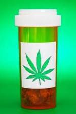 Watch Medicinal Cannabis and its Impact on Human Health Putlocker
