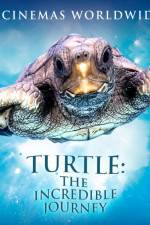 Watch Turtle The Incredible Journey Putlocker