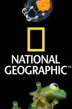 Watch National Geographic Wild Dam Beavers Putlocker