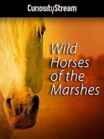 Watch Wild Horses of the Marshes Putlocker