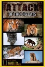 Watch National Geographic Attack Of The Big Cats Putlocker