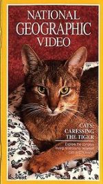 Watch Cats: Caressing the Tiger Putlocker