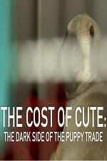 Watch The Cost of Cute: The Dark Side of the Puppy Trade Putlocker