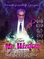 Watch The Mysterious Mr. Wizdom Putlocker