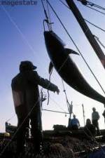 Watch National Geographic: Cheating Death Tuna Cowboys Putlocker
