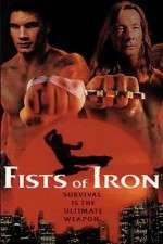 Watch Fists of Iron Putlocker