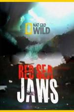 Watch National Geographic Red Sea Jaws Putlocker