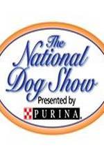 Watch National Dog Show Putlocker