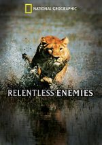 Watch Relentless Enemies Putlocker