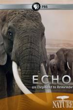 Watch Echo: An Elephant to Remember Putlocker