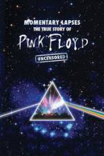 Watch Pink Floyd: Momentary Lapses - The True Story Of Pink Floyd Putlocker