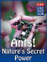 Watch Ants: Nature\'s Secret Power Putlocker