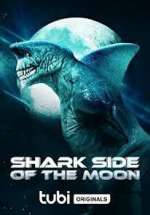 Watch Shark Side of the Moon Vidbull