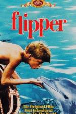 Watch Flipper Putlocker