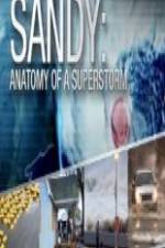 Watch Sandy Anatomy Of A Superstorm Putlocker