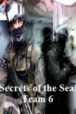 Watch Discovery Channel Secrets of Seal Team 6 Putlocker