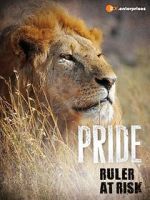 Watch Pride - Ruler\'s at Risk Putlocker