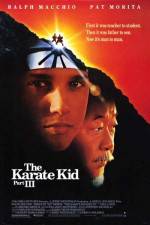 Watch The Karate Kid, Part III Putlocker