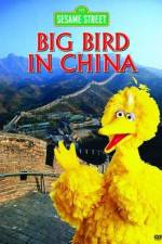Watch Big Bird in China Putlocker