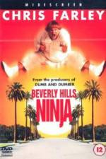 Watch Beverly Hills Ninja Putlocker