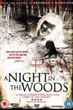 Watch A Night in the Woods Putlocker