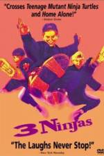 Watch 3 Ninjas Putlocker