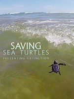 Watch Saving Sea Turtles: Preventing Extinction Putlocker