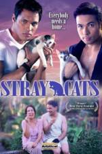 Watch Stray Cats Putlocker