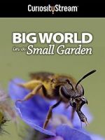 Watch Big World in a Small Garden (TV Short 2016) Putlocker