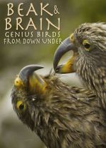 Watch Beak & Brain - Genius Birds from Down Under Putlocker