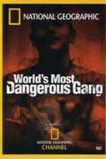 Watch National Geographic World's Most Dangerous Gang Putlocker