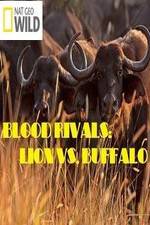 Watch National Geographic - Blood Rivals: Lion vs. Buffalo Putlocker