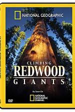 Watch National Geographic Explorer: Climbing Redwood Giants Putlocker
