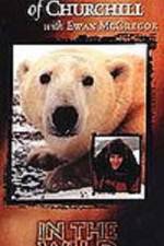Watch The Polar Bears of Churchill with Ewan McGregor Putlocker