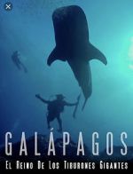 Watch Galapagos: Realm of Giant Sharks Putlocker