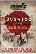 Watch Pride Bushido 11 Putlocker