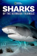 Watch Sharks of the Bermuda Triangle (TV Special 2020) Putlocker