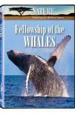 Watch Fellowship Of The Whales Putlocker