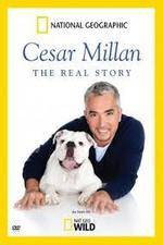 Watch Cesar Millan: The Real Story Putlocker