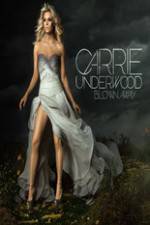 Watch Carrie Underwood: The Blown Away Tour Live Putlocker