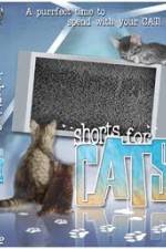 Watch Shorts for Cats Putlocker