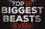 Watch Top 10 Biggest Beasts Ever Putlocker